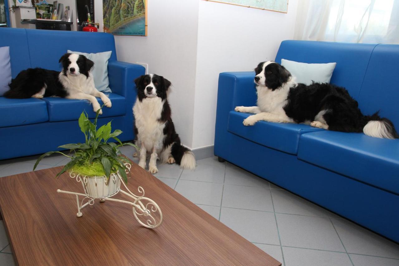 Hotel Marina Roseto Degli Abruzzi Buitenkant foto